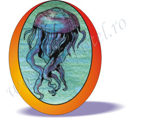 Meduse